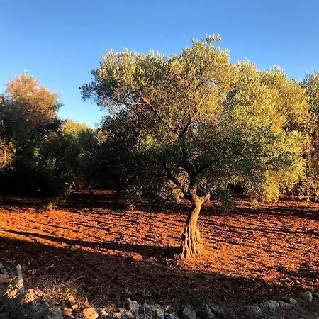 Old Trullo Casa Lucca וילה קרוביניו